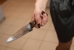 Жительница Краснодара пырнула сожителя ножом в грудь