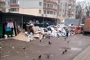 В Краснодаре местные жители жалуются на горы мусора ВИДЕО