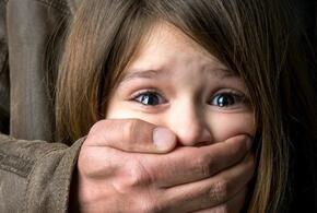 В Краснодаре задержан юноша, развративший 8-летнюю девочку 