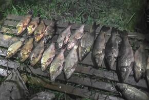 В Краснодарском крае браконьеры наловили рыбы на полмиллиона рублей