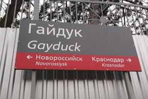 В Краснодарском крае нашли станцию с названием «Гей утка»