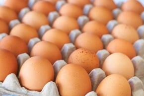 В Краснодарском крае обнаружено более 160 тысяч опасных яиц