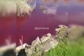 В Краснодарском крае река окрасилась в цвет крови ВИДЕО