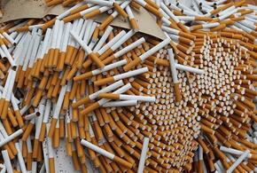 На Кубани предприниматель торговал контрафактными сигаретами