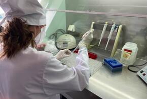В Краснодарском крае еще 98 человек заболели коронавирусом