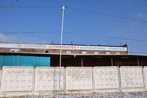В Краснодарском крае маслосырозавод «Славянский» пойман на очередных нарушениях