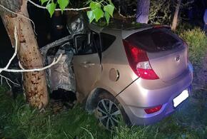 В Краснодарском крае водитель иномарки погиб, протаранив дерево