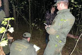 В лесу нашли тело 12-летней школьницы