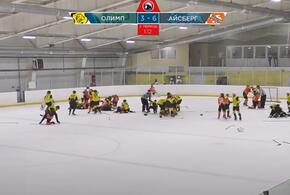 Юные хоккеисты из Горячего Ключа и Самары устроили массовую драку на льду