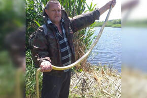 Необычный улов: житель Крымска во время рыбалки обнаружил гигантскую змею