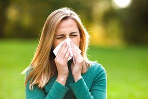 Роспотребнадзор предостерег аллергиков, желающих привиться от COVID-19