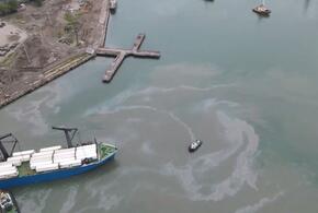 Росприроднадзор ищет, кто возместит ущерб от загрязнения моря в Туапсе ВИДЕО