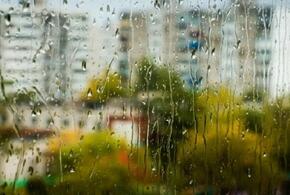 Тепло и дождливо будет сегодня в Краснодарском крае