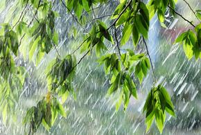 В Краснодарском крае четверг пройдет под знаком дождя