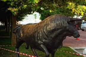 В Новороссийске скульптура быка осталась без гениталий ВИДЕО