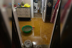 В Тамани из-за ливней затопило несколько домов