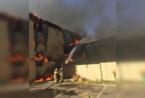 В Динском районе Кубани тушат второй пожар за день ВИДЕО