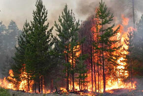 В двух районах Краснодарского края могут вспыхнуть пожары