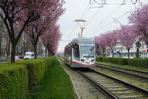 В Краснодаре сократят работу трамвайного маршрута