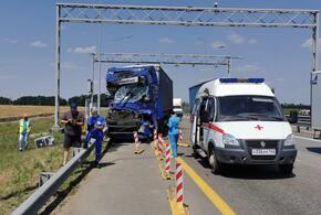 В Краснодарском крае на трассе столкнулись три грузовика