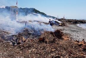 В Сочи жгли вынесенные штормом деревья на пляже ВИДЕО