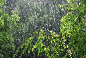 На Кубань вновь надвигается циклон, он накроет регион с 19 августа