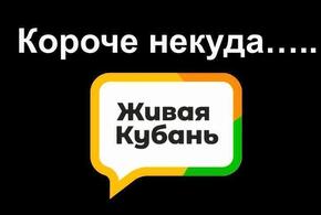 На мэра Краснодара написали заявление в полицию, а жара отступит 2 сентября: итоги дня за 30 августа