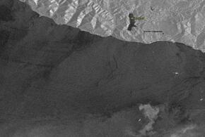 Нефтяное пятно возле Новороссийска исчезло со снимков спутника