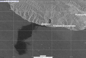 Разлив нефти под Новороссийском оказался в 400 тысяч раз масштабнее
