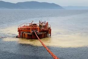 Росприроднадзор обвинил в халатности АО «КТК-Р» после разлива нефти в Черном море
