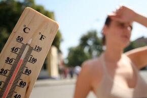 Температура +38: В воскресенье на Кубани синоптики обещают настоящее пекло