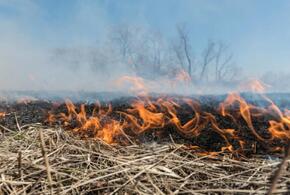 В Геленджике разгорелся природный пожар