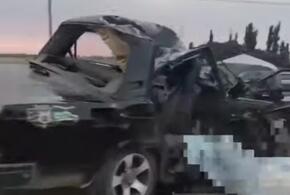 В Краснодаре в ДТП с грузовиком погибли два пассажира легковушки ВИДЕО