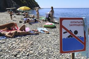 В Новороссийске нельзя купаться на пляжах Алексино и Суджукская коса
