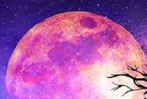 Жители Краснодарского края могут увидеть «розовую» Луну