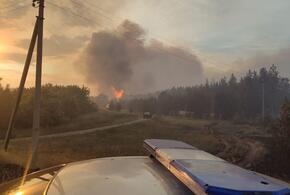 На Кубани в 14 районах могут вспыхнуть пожары 