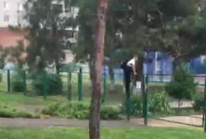 В Краснодаре дети в школу, лазят через забор ВИДЕО