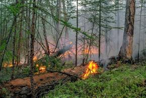 В Краснодарском крае до понедельника могут гореть леса