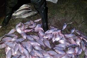 На Кубани браконьер наловил рыбы почти на 300 тысяч рублей