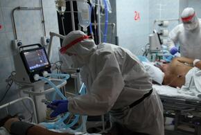На Кубани за сутки от COVID-19 умерли 40 пациентов