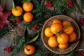 Новогодние столы украсят мандарины только из Абхазии