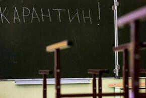 В Анапе из-за коронавируса на карантине 330 школьников и 40 учителей 
