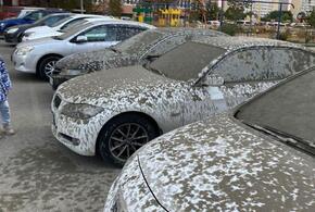 В Краснодаре жидким бетоном залило припаркованные автомобили