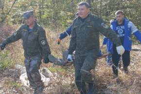 В лесу Краснодарского края погиб пенсионер