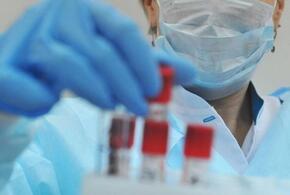 В ВОЗ заявили о нескорой победе над коронавирусом 
