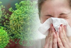 Инфекционисты рассказали о распространении гриппа в текущем сезоне