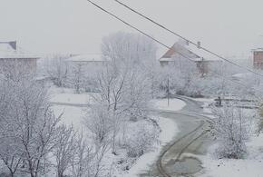 В четырех районах Краснодарского края выпал снег