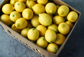 В России снимут с продажи турецкие лимоны
