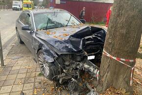 В Сочи BMW протаранила дерево, пострадал 4-летний ребенок