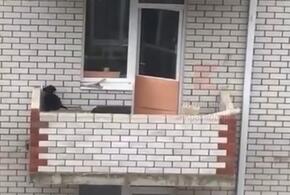 Жители Краснодара обратили внимание на странный балкон ВИДЕО